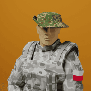 World War 0x Country #13